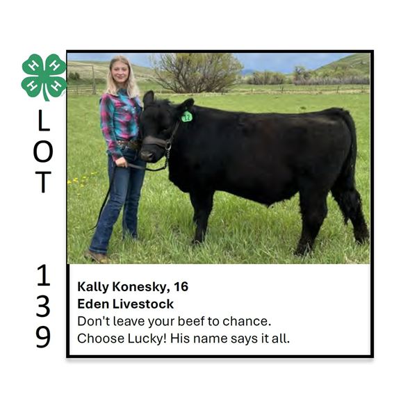 Kally Konesky - Tag #: 12 / Beef