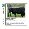 Image 1 : Savannah Konesky - Tag #: 13 / Beef