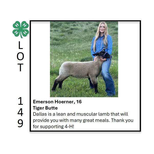 Emerson Hoerner - Tag #: 15 / Sheep