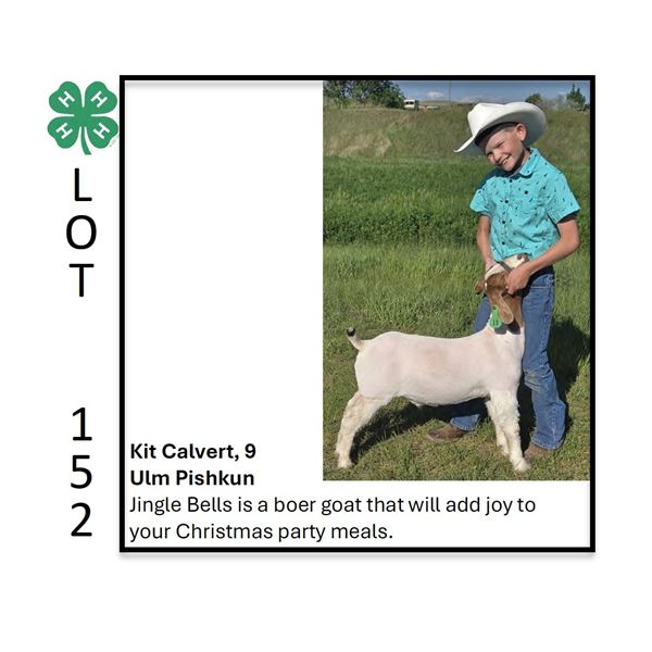 Kit Calvert - Tag #: 13 / Goat