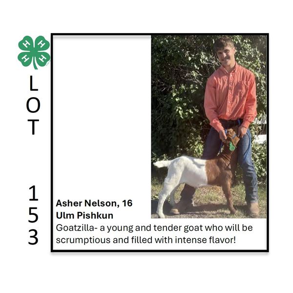 Asher Nelson - Tag #: 19 / Goat