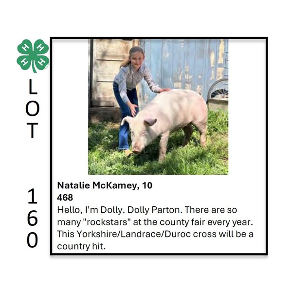 Natalie McKamey - Tag #: 122 / Swine