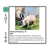Image 1 : Natalie McKamey - Tag #: 122 / Swine