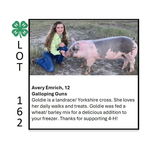 Avery Emrich - Tag #: 2 / Swine