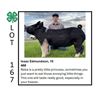 Image 1 : Issac Edmundson - Grand Champion Swine