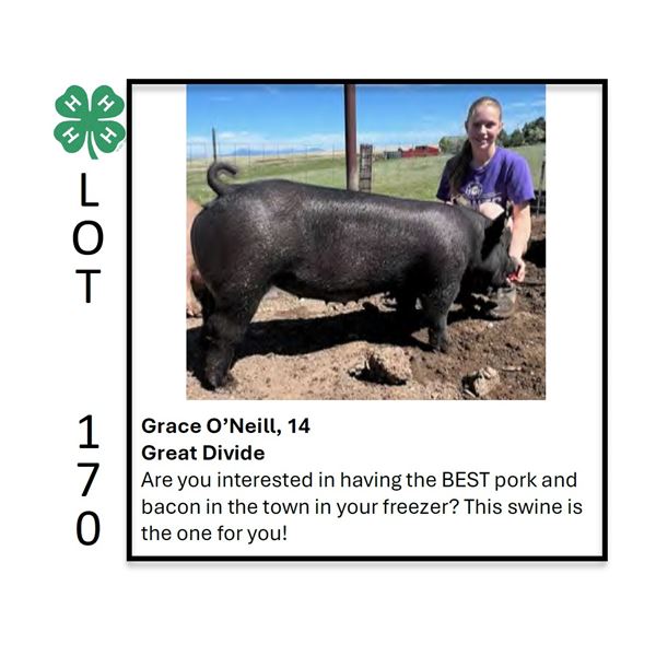 Grace O'Neill - Tag #: 133 / Swine