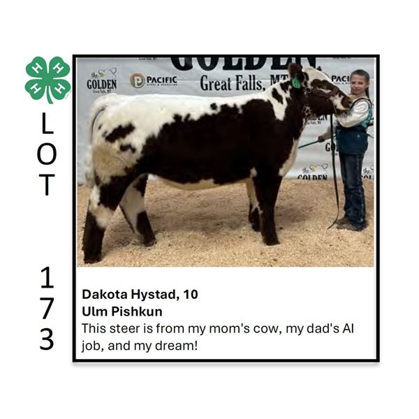 Dakota Hystad - Tag #: 11 / Beef