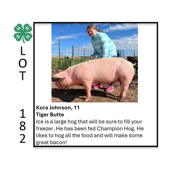 Kora Johnson - Tag #: 111 / Swine