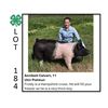 Image 1 : Annibell Calvert - Tag #: 7 / Swine
