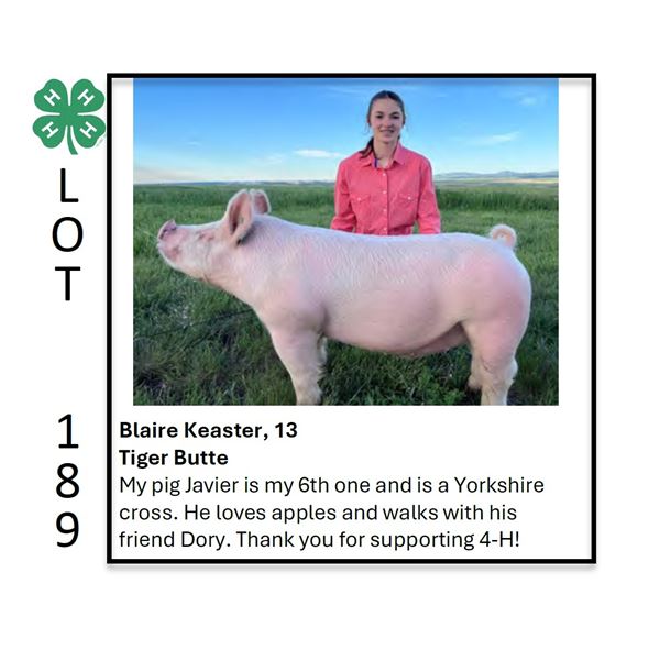 Blaire Keaster - Tag #: 24 / Swine