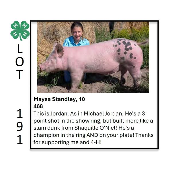 Maysa Standley - Tag #: 86 / Swine