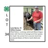 Image 1 : OUT OF SALE -Lane Byrne - Tag #: 43 / Beef