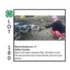 Image 1 : OUT OF SALE -Naomi Anderson - Tag #: 104 / Swine