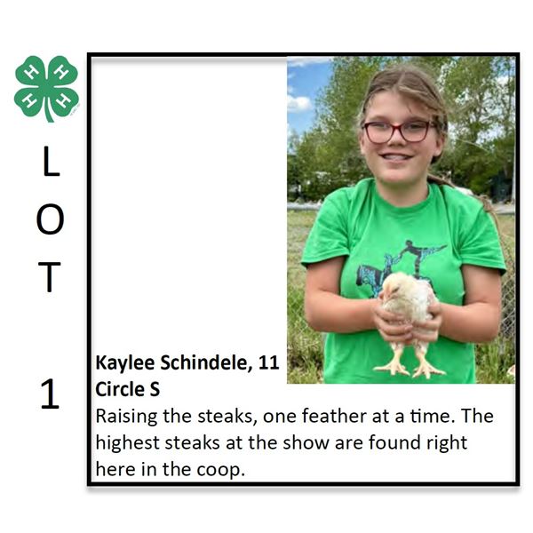 Kaylee Schindele - Poultry