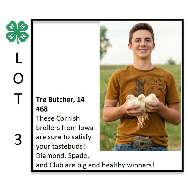 Tre Butcher - Poultry