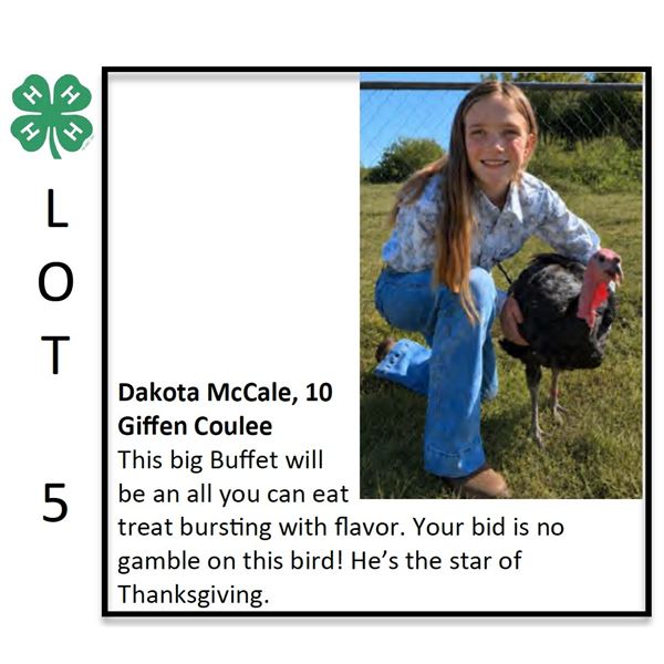 Dakota McCale - Poultry