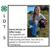 Image 1 : Dakota McCale - Poultry