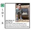 Image 1 : Jolan Molnar - Poultry