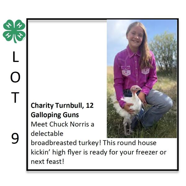 Charity Turnbull - Poultry