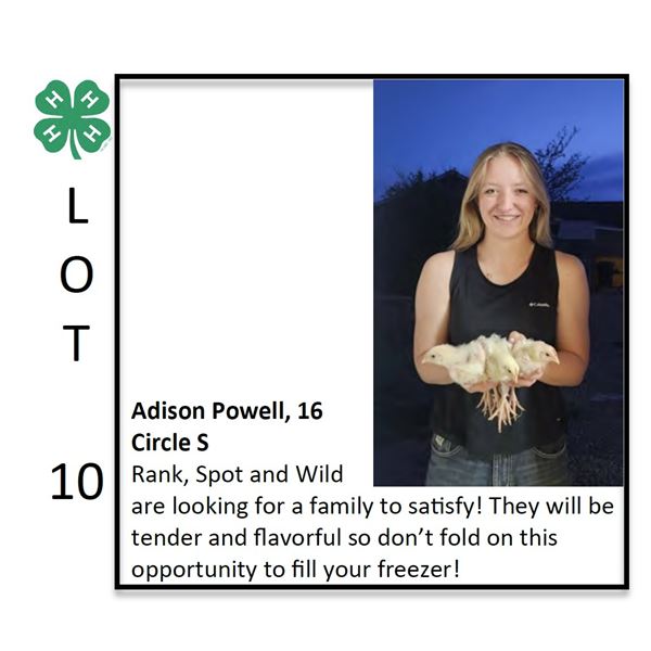 Adison Powell - Poultry