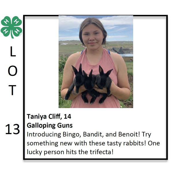 Taniya Cliff - Rabbit