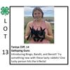 Image 1 : Taniya Cliff - Rabbit