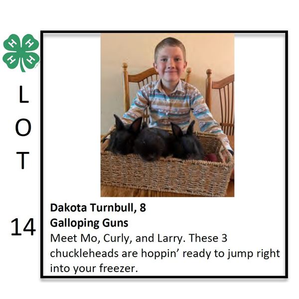 Grand Champion  - Rabbit -Dakota Turnbull - Rabbit