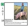 Image 1 : Alivia Emrich - Swine