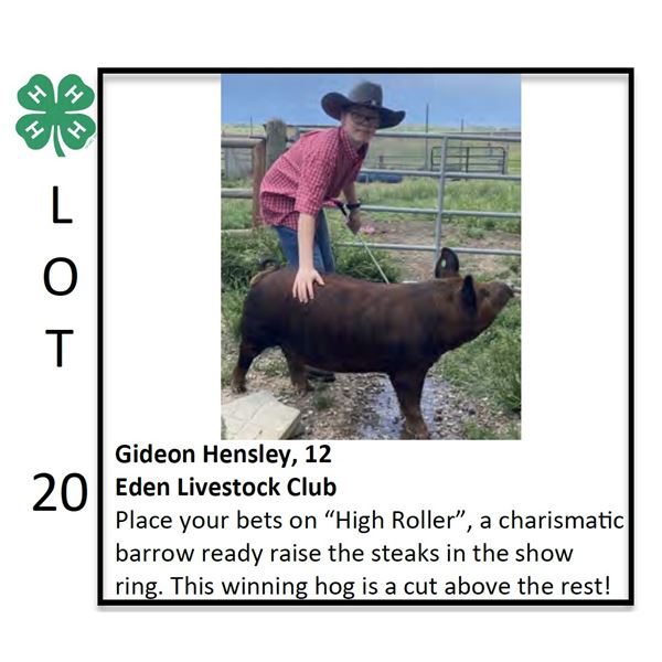 Gideon Hensley - Swine