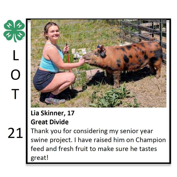 Lia Skinner - Swine
