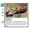Image 1 : Lia Skinner - Swine