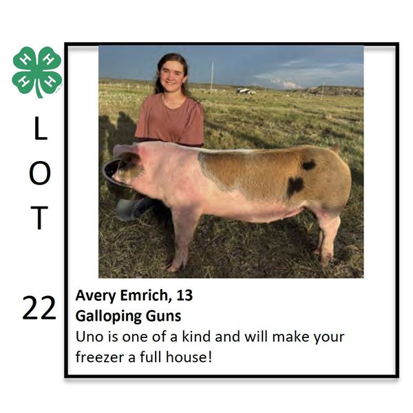 Avery Emrich - Swine