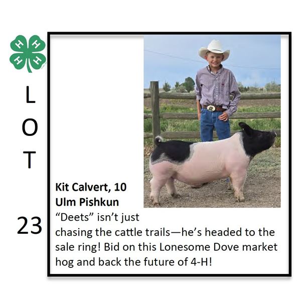 Kit Calvert - Swine