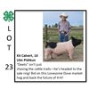 Image 1 : Kit Calvert - Swine