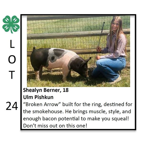 Shealyn Berner - Swine