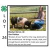 Image 1 : Shealyn Berner - Swine