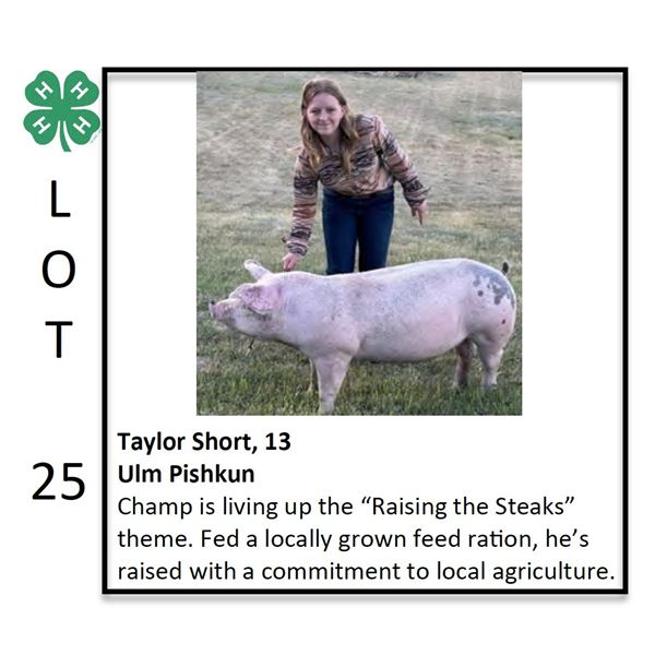 Taylor Short - Swine