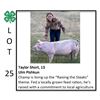 Image 1 : Taylor Short - Swine