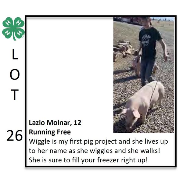 Laszlo Molnar - Swine