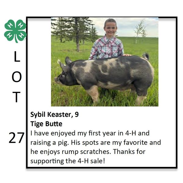Sybil Keaster - Swine