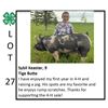 Image 1 : Sybil Keaster - Swine