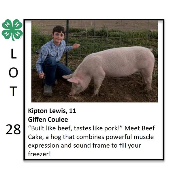 Kipton Lewis - Swine