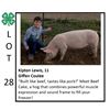 Image 1 : Kipton Lewis - Swine
