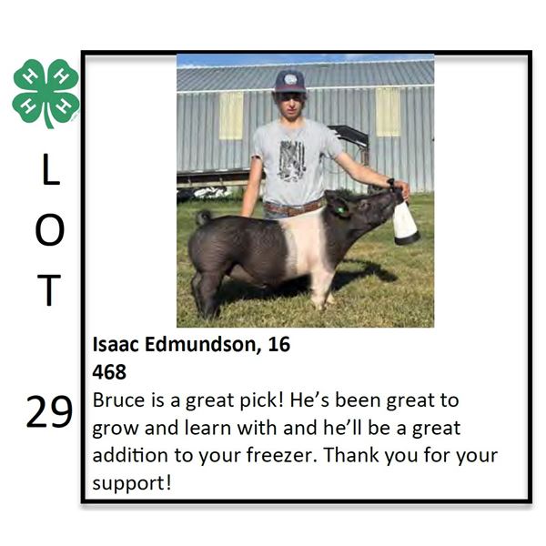 Isaac Edmundson - Swine