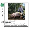 Image 1 : Cooper Atkinson - Swine