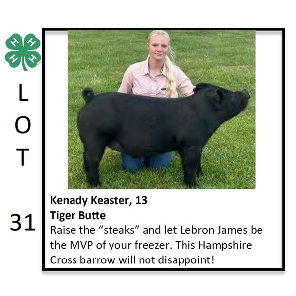 Kenady Keaster - Swine