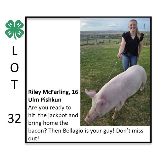 Riley McFarling - Swine