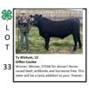 Image 1 : Ty Wickum - Beef