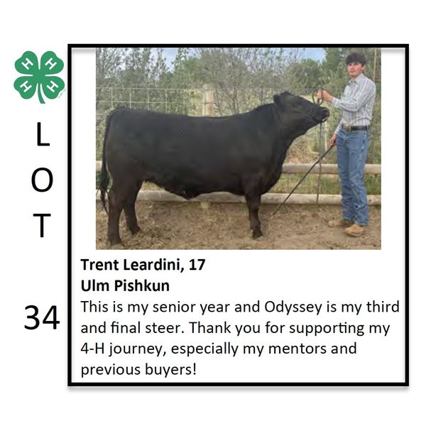 Trent Leardini - Beef