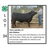 Image 1 : Trent Leardini - Beef